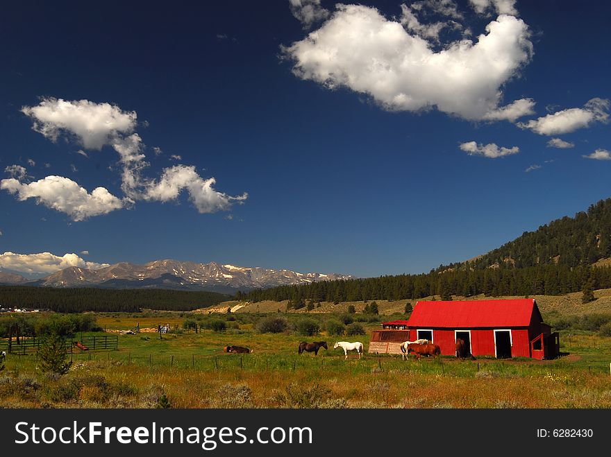 Red shed and horses in the mountains of Colorado