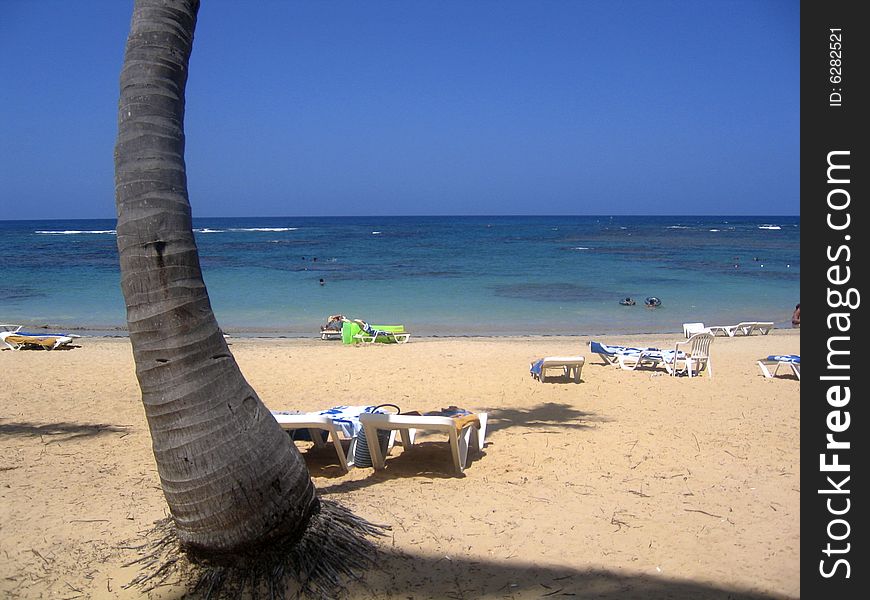 A Beach in Dominican Republic. A Beach in Dominican Republic