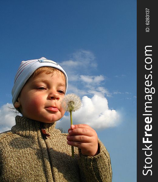 Little boy blow blowball, toddler play with dandelion