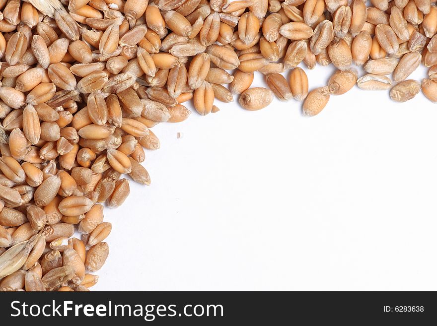 Wheat grain close up background texture