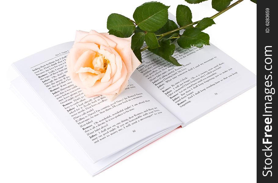 The rose laying on the book on a white background. The rose laying on the book on a white background