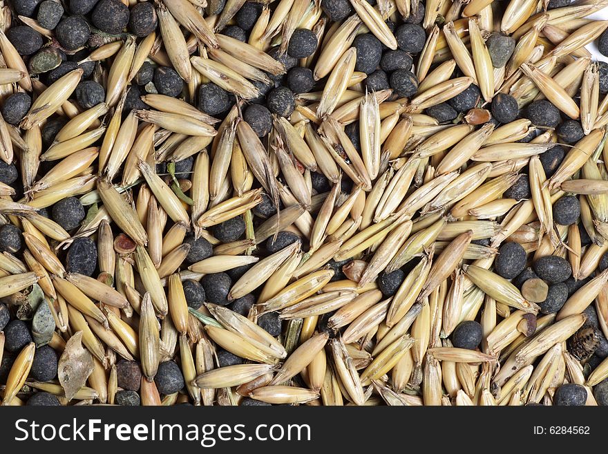 Various seeds mixture background texture. Various seeds mixture background texture