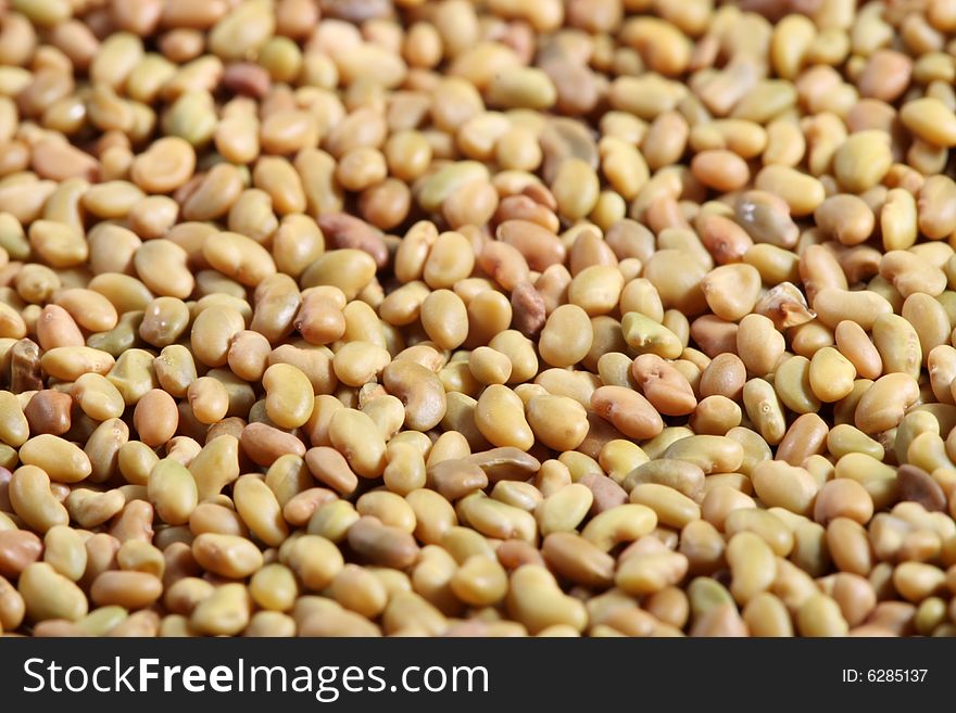 Colorful Seeds Mixture Close-up