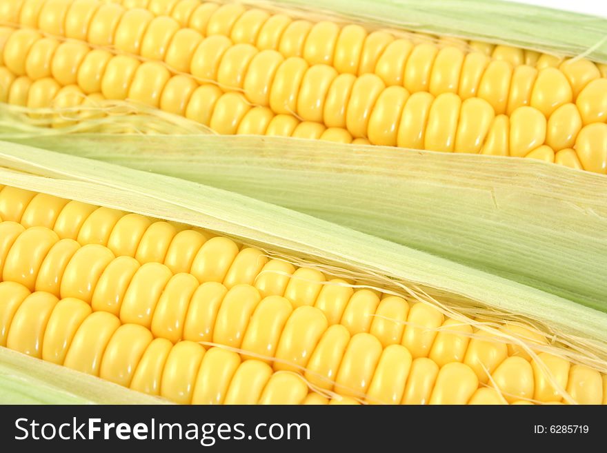 Yellow corn close up in studio