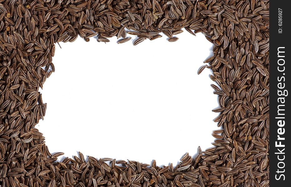 Caraway seed close-up