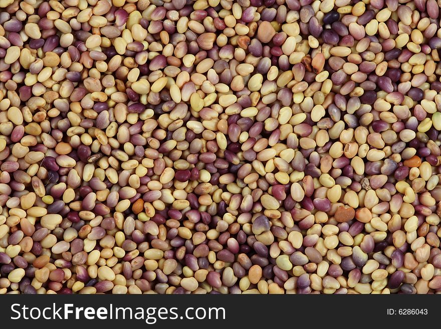 Colorful seeds mixture close-up background texture