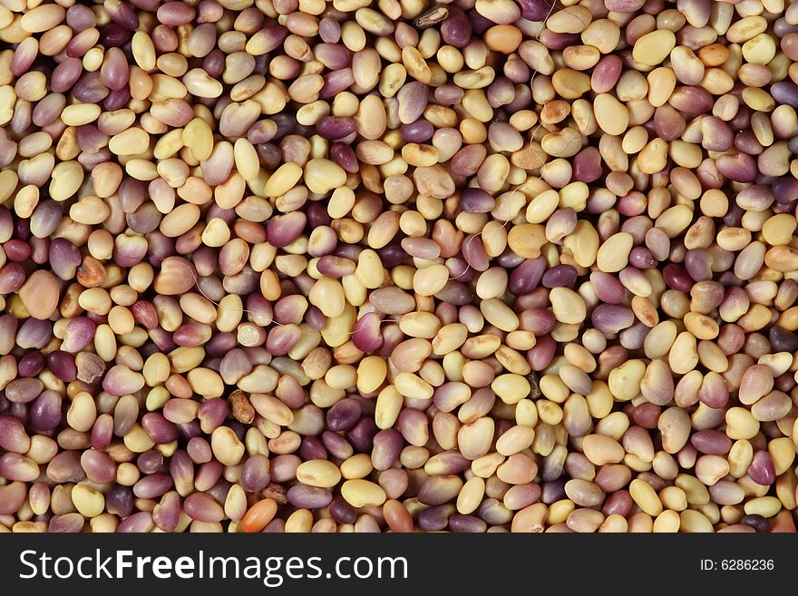 Colorful seeds mixture close-up background texture