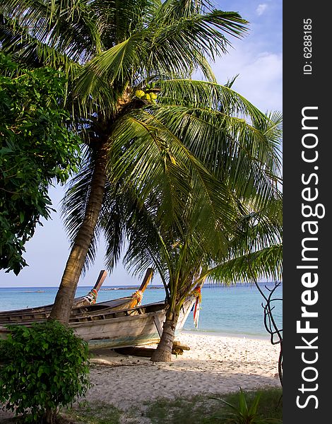 Coco palms on the beach, sand, sky even three lonely boats