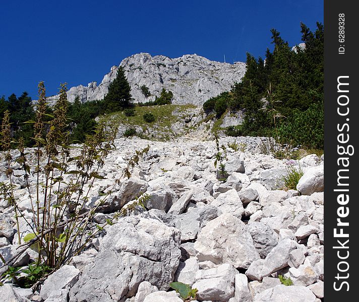 Stone talus on Wendelstein Mountain . Blue Sky Above . Germany , Bavaria , not so far from Munich.
