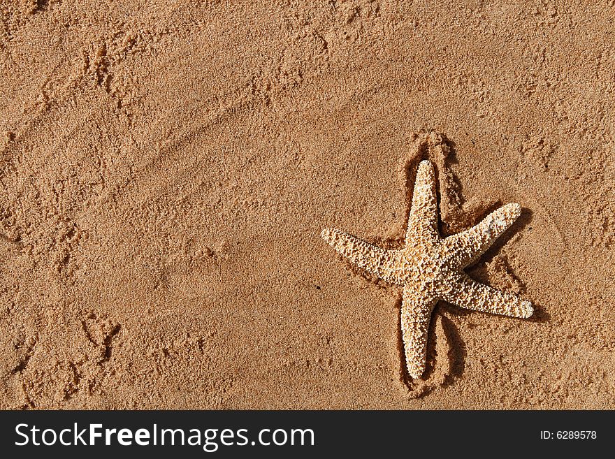 Starfish on a beach sand perfect for background