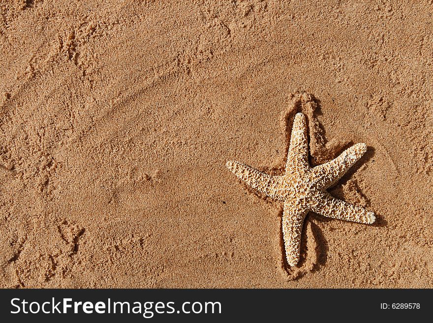 Starfish On A Beach Sand Perfect For Background