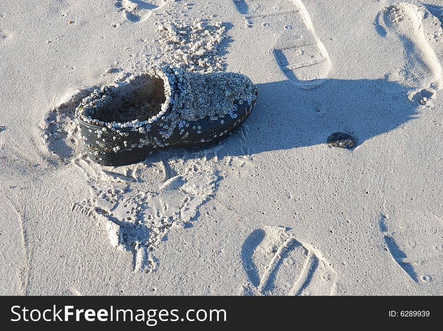 Shoe washed up on a beach suggesting environmental pollution. Shoe washed up on a beach suggesting environmental pollution