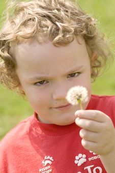 Blowing Dandelion Stock Photography Blowing Dandelion Stock Photography