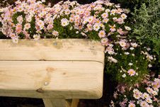 Wooden Bench Stock Photography