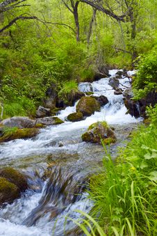 Mountain River Royalty Free Stock Photography Mountain River Royalty Free Stock Photography