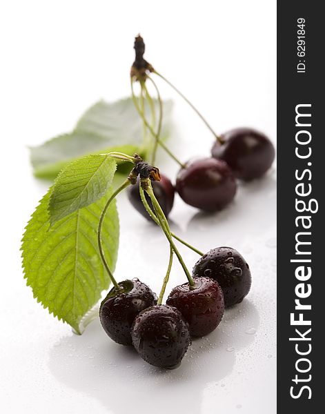 The Wild Cherry or Sweet Cherry on the white background. The Wild Cherry or Sweet Cherry on the white background.