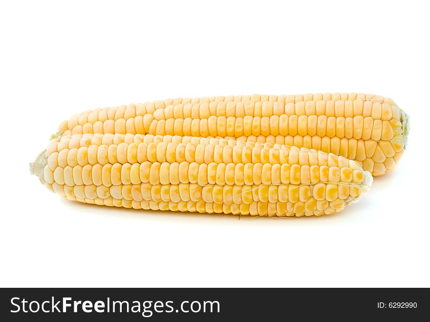 Two ripe yellow corn ears isolated on the white background