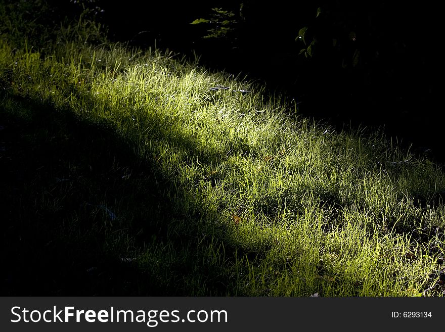Vanishing sunbeam on the bright green grass. Vanishing sunbeam on the bright green grass