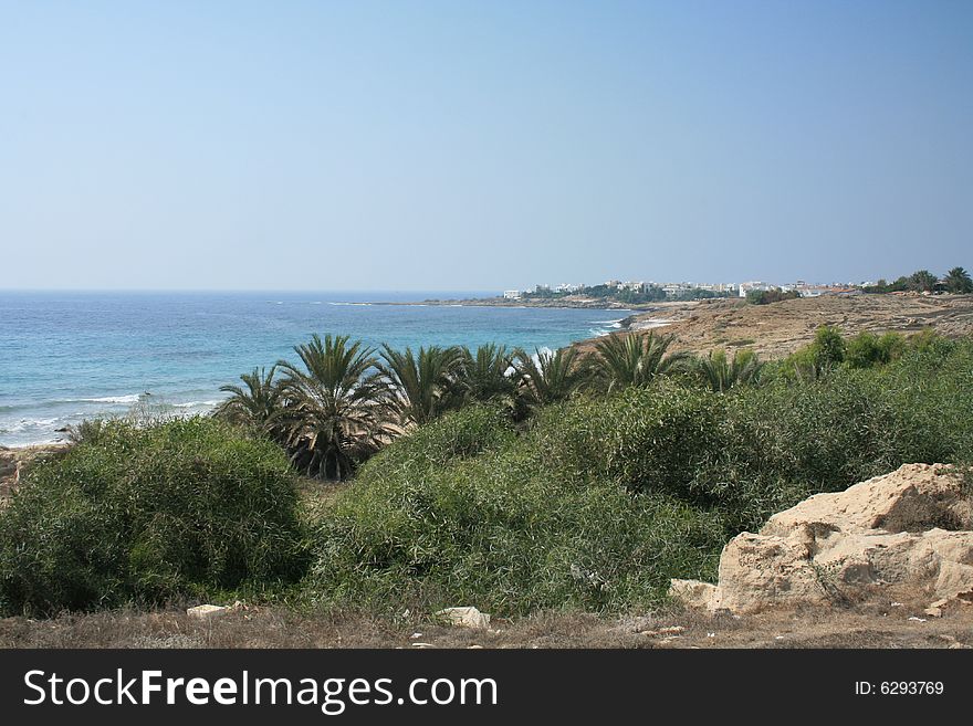 A sea side undeveloped area in Paphos, Cyprus, shrubs bamboo and palms visible. A sea side undeveloped area in Paphos, Cyprus, shrubs bamboo and palms visible