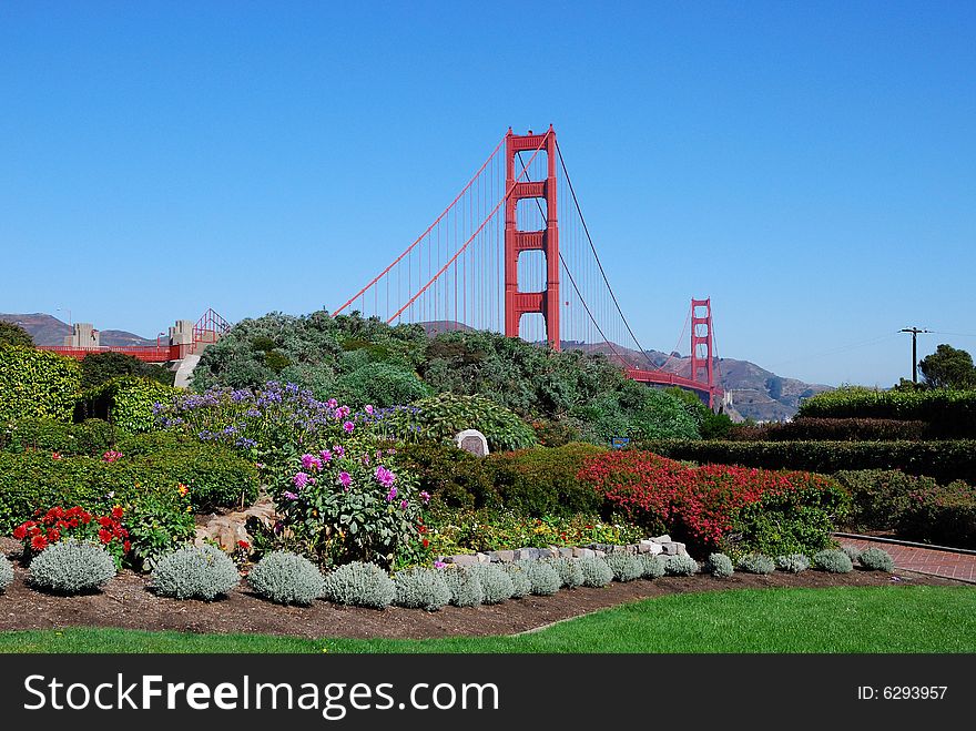 Flower garden near the golden gate bridge