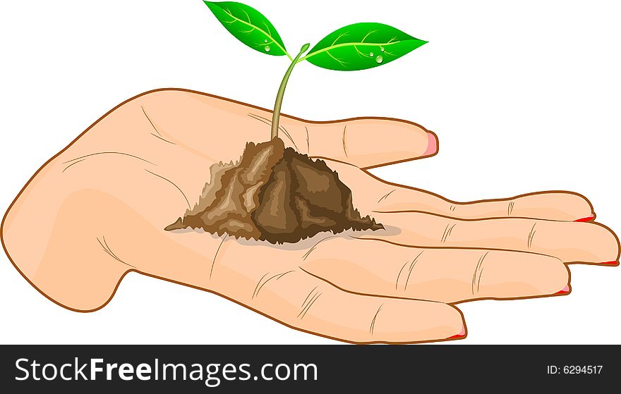 Young sprout in a hand. Vector illustration. Young sprout in a hand. Vector illustration.
