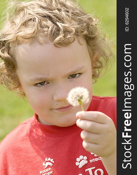 Blowing Dandelion