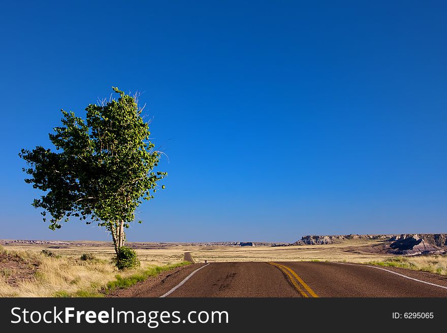An open desert highway