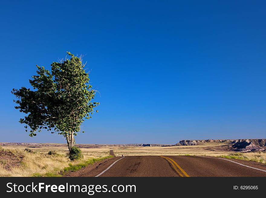 An Open Desert Highway