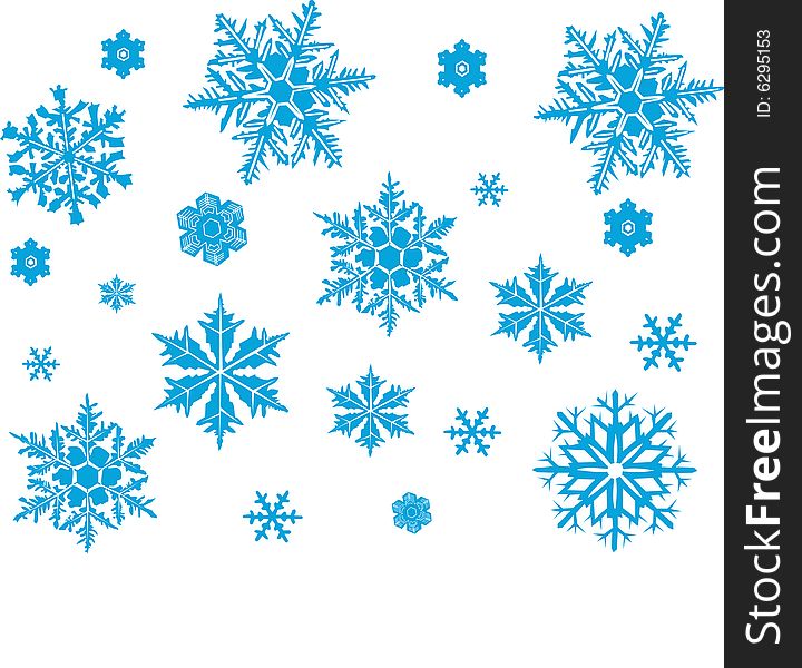 Snowflakes on the white background