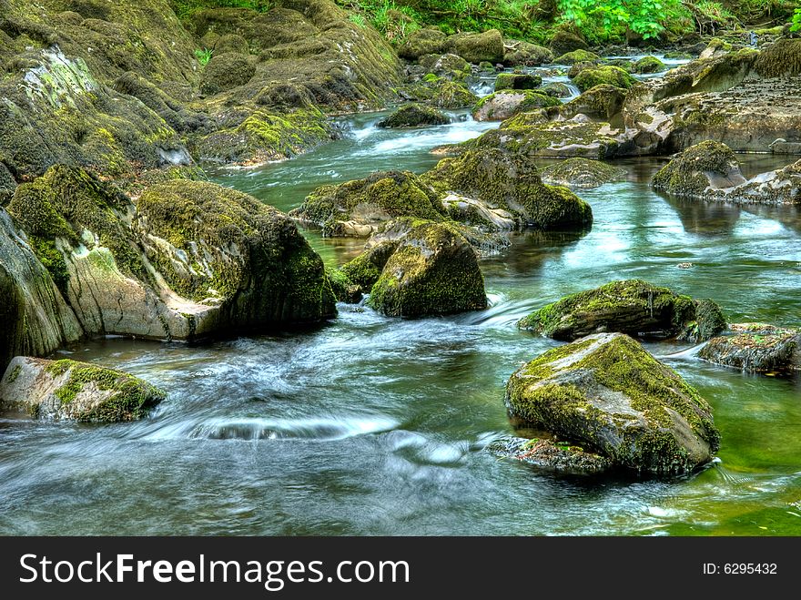 Amazing green, lush forest scene. Amazing green, lush forest scene