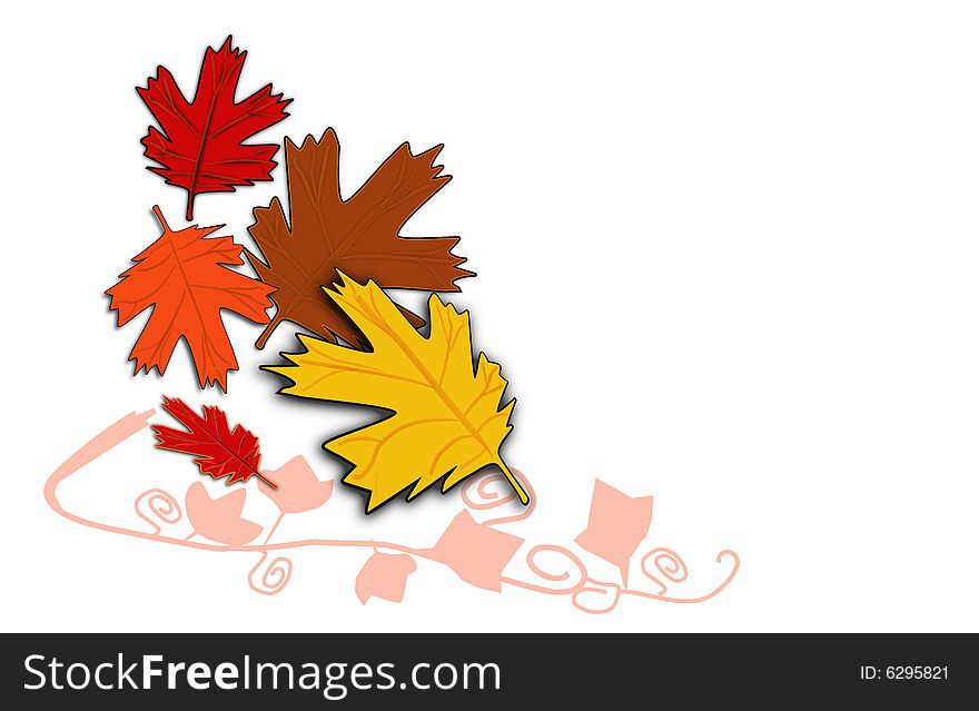 Autumn fall leaves with white background. Autumn fall leaves with white background