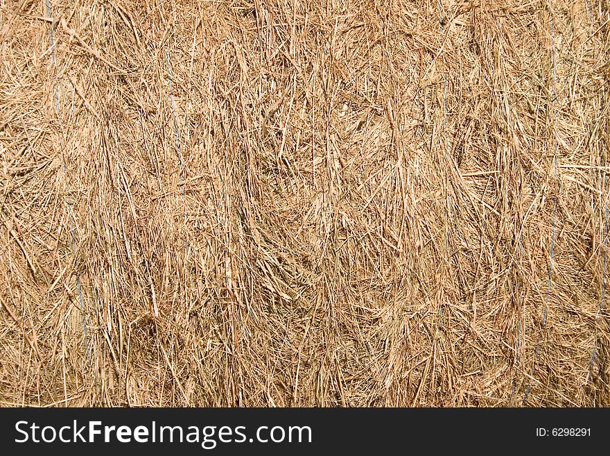 Background of yellow hay  bale