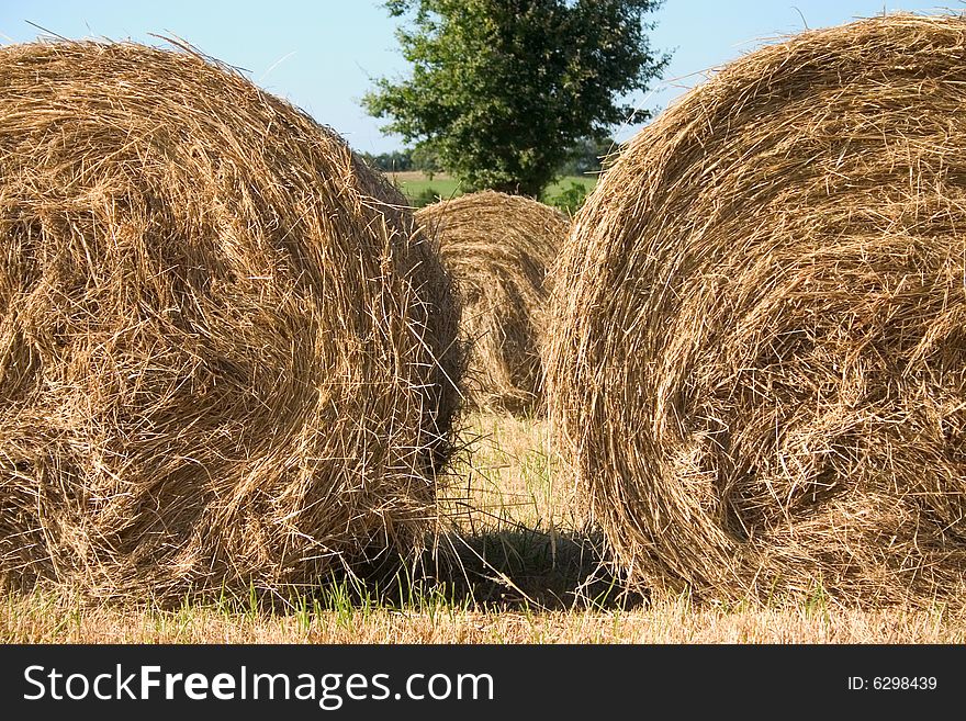 Two Hay  Bales