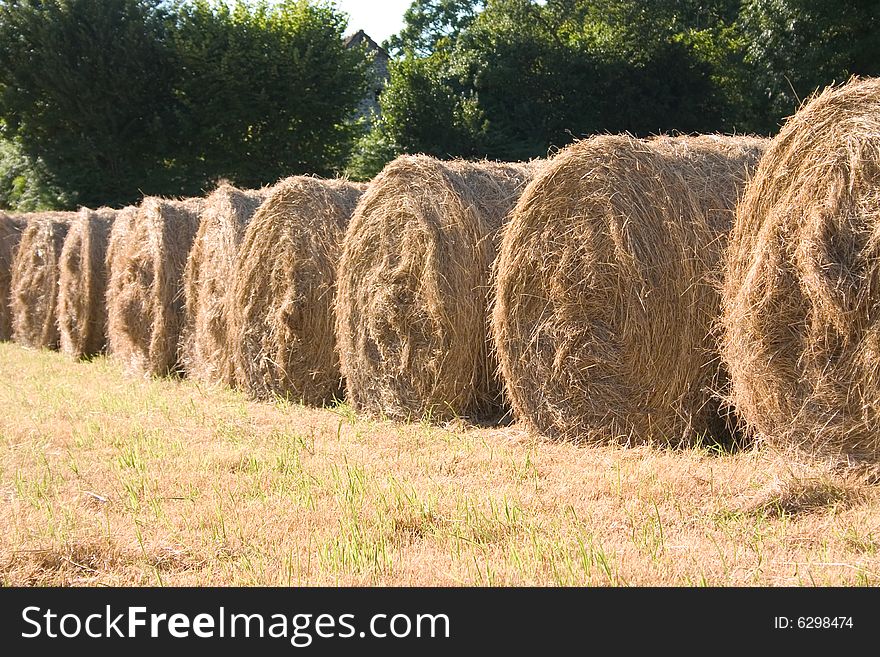 Alignment of yellow hay  bales