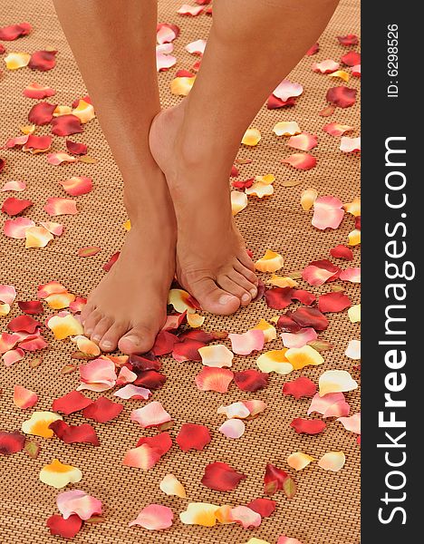 Woman standing on flower petals.Different colors. Woman standing on flower petals.Different colors.
