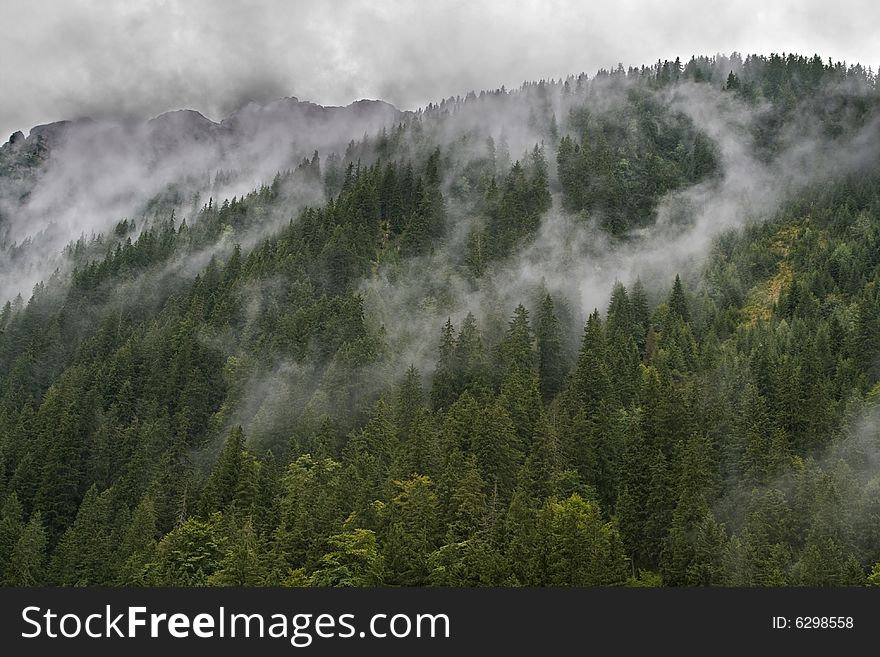 Impressive summer aspect of clouds rising up above a forest.Location:Fagaras Mountains,Romania.Useful image for forecast websites. Impressive summer aspect of clouds rising up above a forest.Location:Fagaras Mountains,Romania.Useful image for forecast websites.