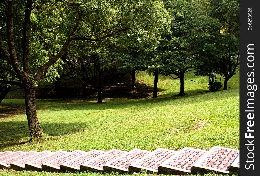 Green campus park in a tropical university. Green campus park in a tropical university