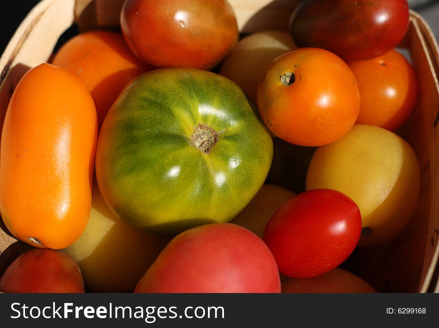 Green orange red and yellow tomatoes in a wooden basket. Green orange red and yellow tomatoes in a wooden basket