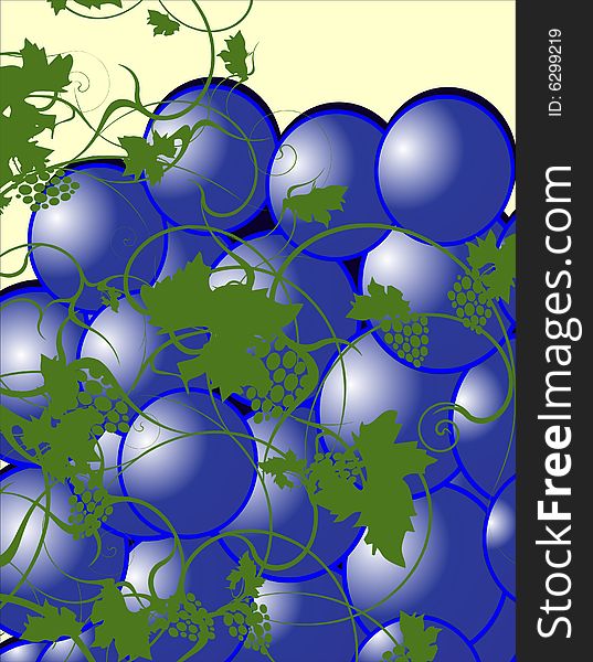 Grape illustration.cdr