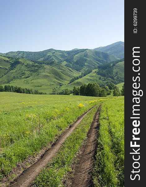 Road in mountains with green forest on blue sky. Road in mountains with green forest on blue sky