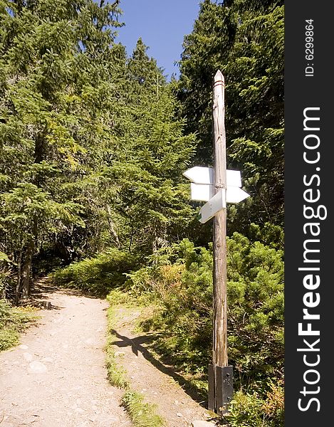 Pathway in Polish Tatra mountains in Summer