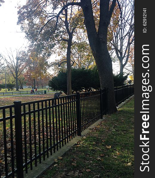 A Sciuridae Sitting on a Fence in a Park in the Fall.