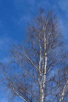 The March Sky. Royalty Free Stock Image The March Sky. Royalty Free Stock Image