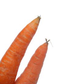 Two Carrots Stock Image Two Carrots Stock Image