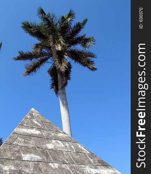 Palm And Pyramid