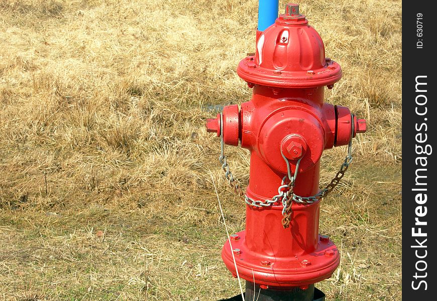 Fire Hydrant in a brown grass meadow