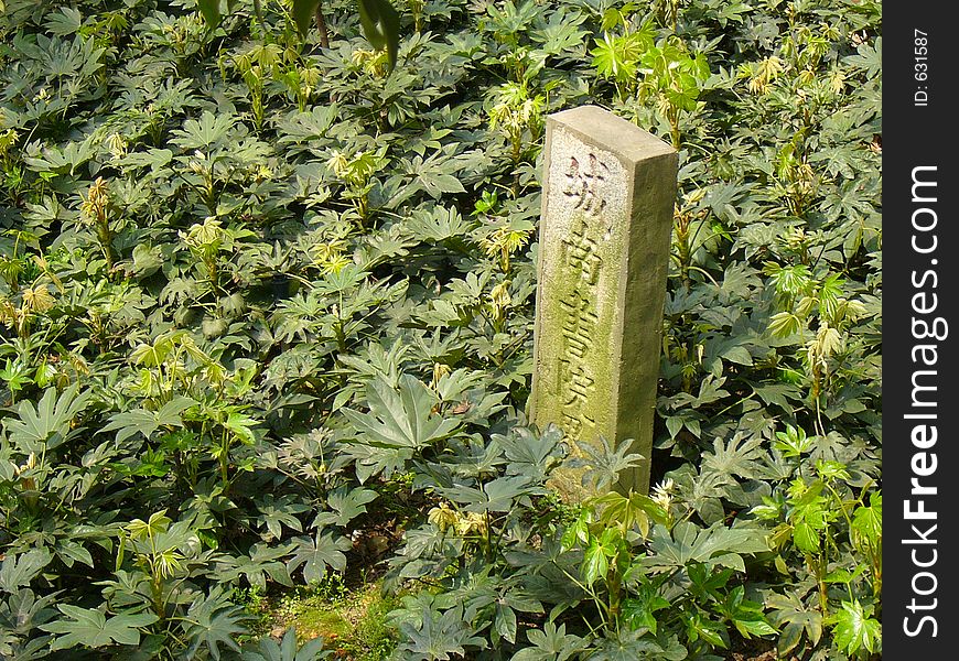 An ancient Chinese library stone-made landmark stands in the green,abandoned. An ancient Chinese library stone-made landmark stands in the green,abandoned.