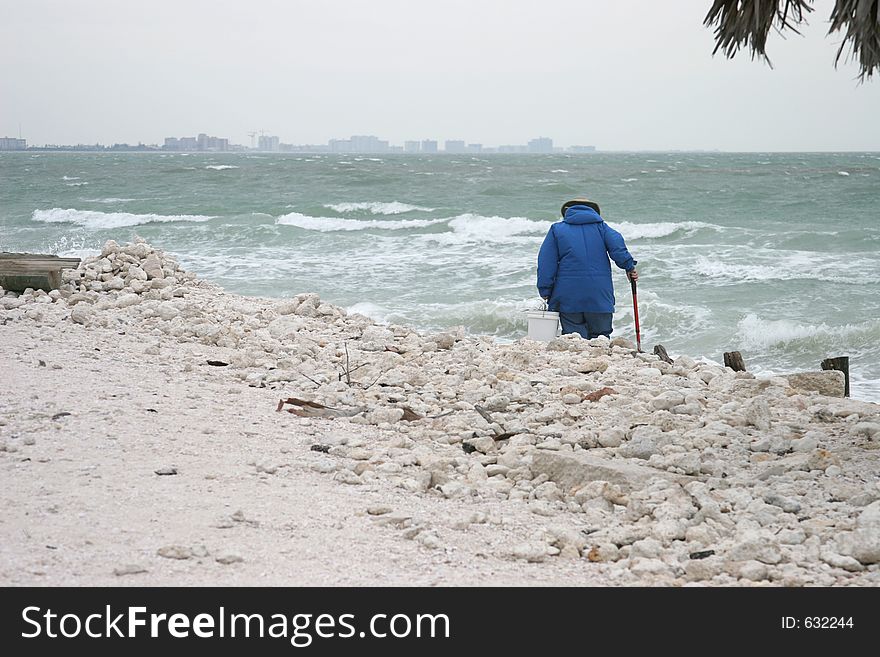 Dedicated Beachcomber