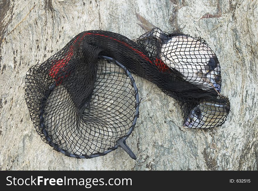 Fishes in the net, Sardinia, Italy