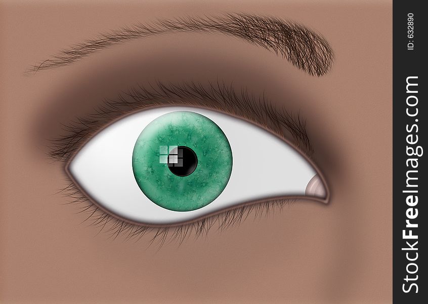 A closeup of a green iris and eye